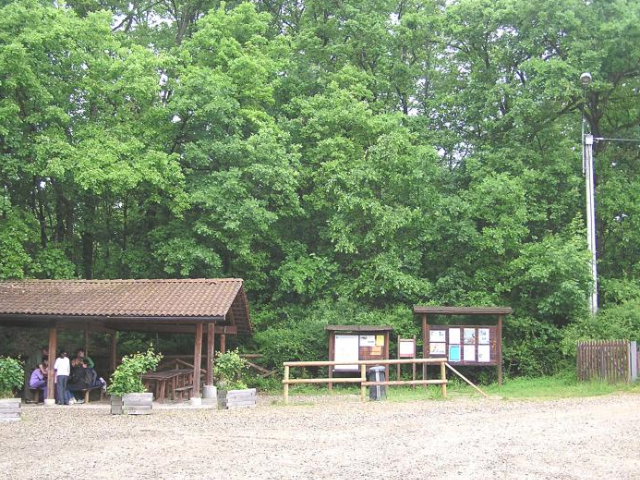 Parco Naturale di Rocchetta Tanaro (4)