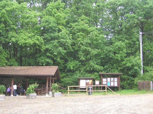 Rocchetta Tanaro | Il bosco di fine estate