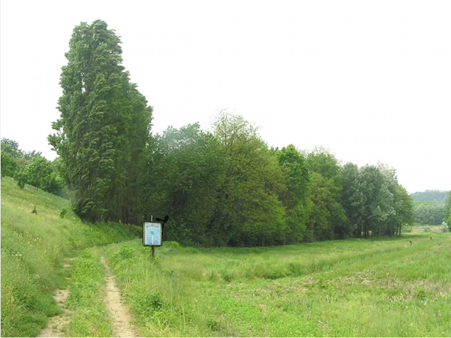 Oasi WWF Il Verneto